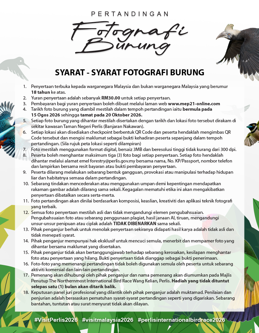 Terma dan Syarat