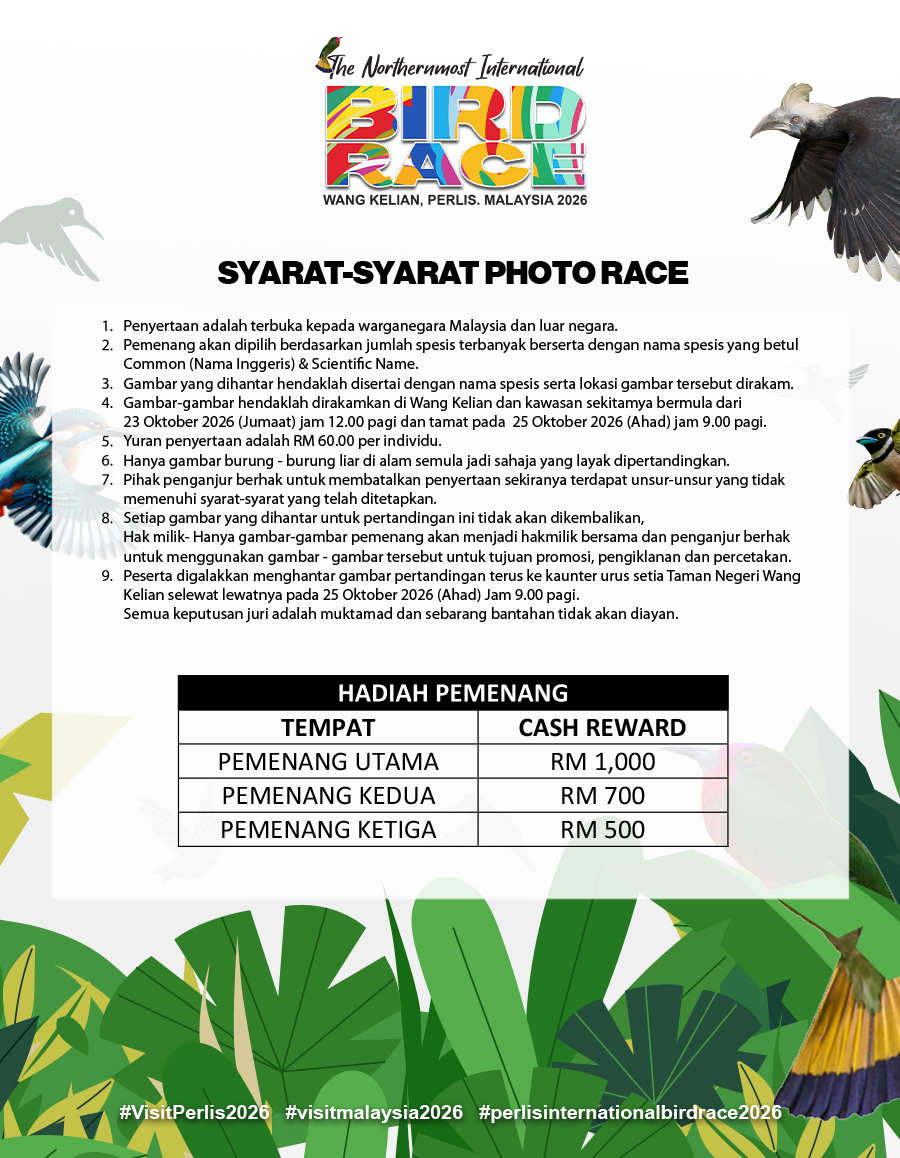 Photo race rules