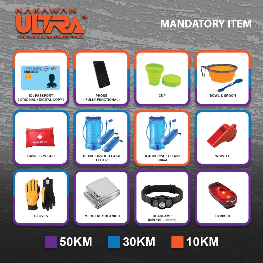 Mandatory items