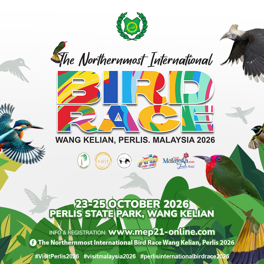 The Northernmost International Bird Race 2026