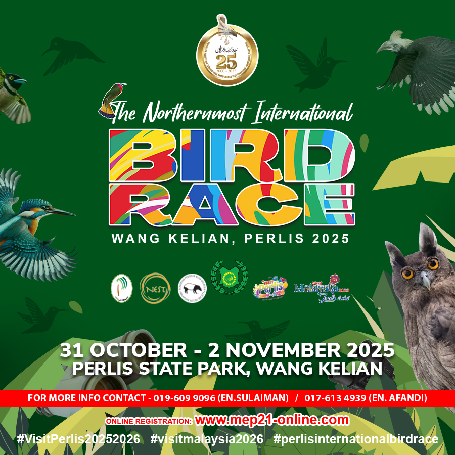 The Northernmost International Bird Race