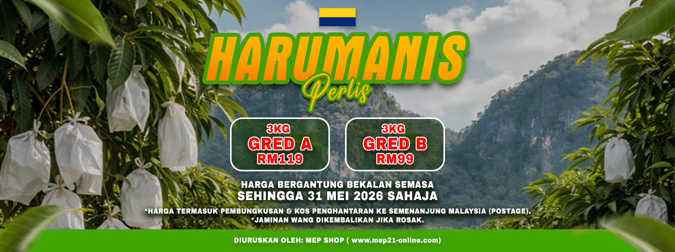 Harumanis dari Negeri Perlis