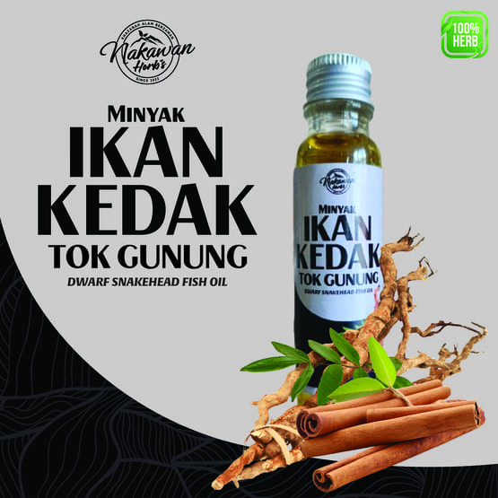 Minyak Ikan Kedak Tok Gunung