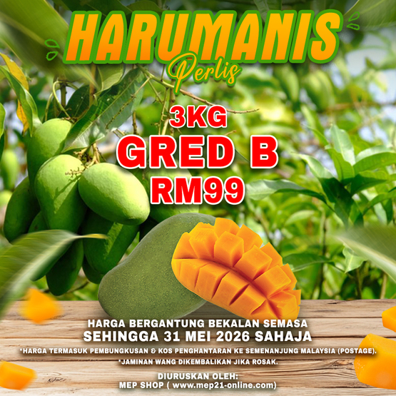 Harumanis gred B