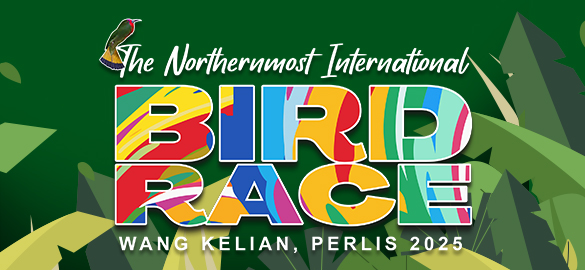 The Northernmost International Bird Race