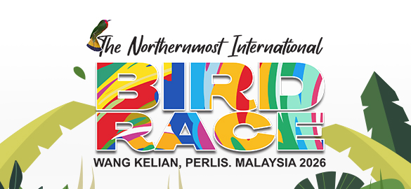 The Northernmost International Bird Race 2026