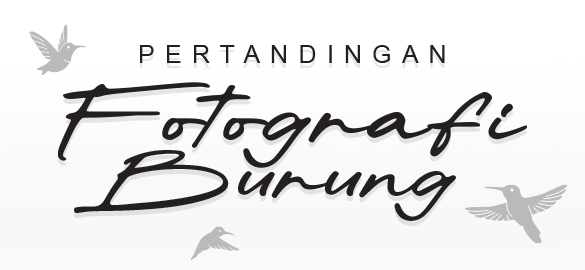 Bird Photography Competition